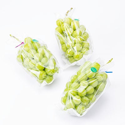 2026年先行予約　岡山県産シャインマスカット2kg(2～4房)【配送不可地域：離島】