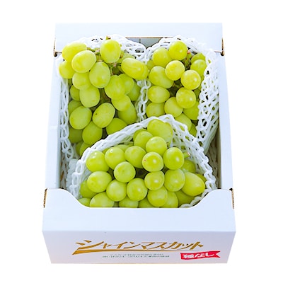 朝採りシャインマスカット2kg(3房～4房)【配送不可地域：離島】