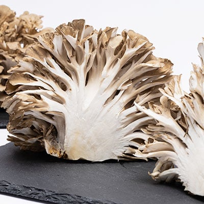 舞茸　約600g【配送不可地域：離島】