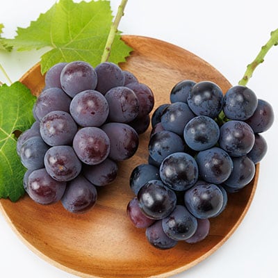 2026年先行受付　美作市産ピオーネ＆オーロラブラックまたはクイーンニーナ2kg以上【配送不可地域：離島・北海道・沖縄県】