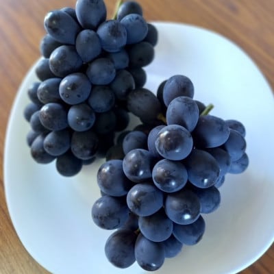 2026年先行受付　美作市産　ニューベリーA　約4kg(7～10房)【配送不可地域：離島・北海道・沖縄県】