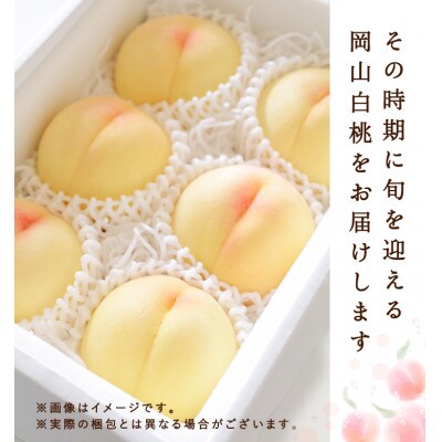 【2026年発送】岡山県産　白桃 6玉 (1.5kg以上) 等級:ロイヤル 化粧箱入り【配送不可地域：離島・北海道・沖縄県】