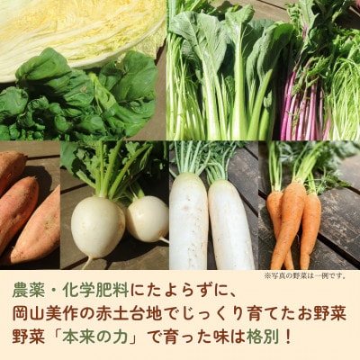 【畑から直送】岡山美作産　旬を楽しみ味覚を育む野菜約8種(約5kg)【配送不可地域：離島】