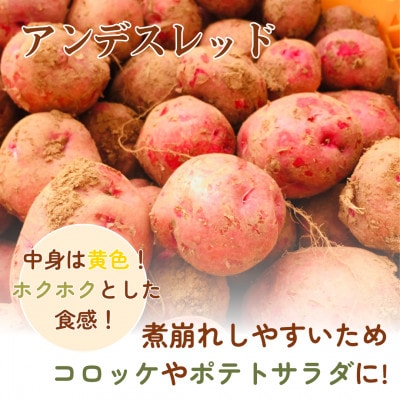 岡山県美作産じゃがいも食べ比べセット(アンデスレッド＆メークイン)　各1kg