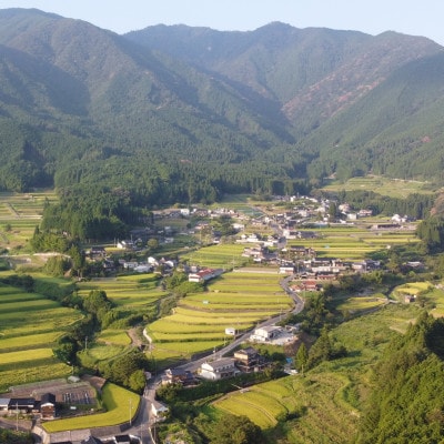 美作アルプス　後山の棚田米ひめのもち(精米)1.5kg×2袋