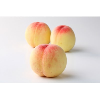 2026年先行予約　岡山白桃　ロイヤル　(1箱3玉入り)800g【配送不可地域：離島】