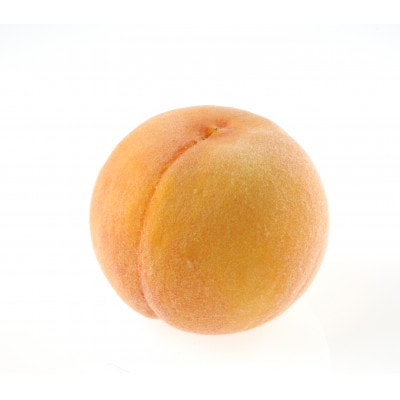 2026年先行予約　岡山白桃4玉・黄桃セット2玉　食べ比べセット