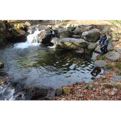 渓流釣り体験【大人1名 入場回数券】