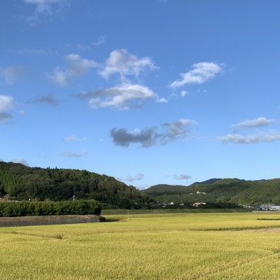【令和7年産】新米・精米　きぬむすめ5kg＆いちご詰合せ(約280g×4パック)【配送不可地域：離島・北海道・沖縄県】