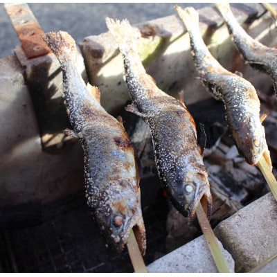 渓流の女王　アマゴ(冷凍24尾入り)【配送不可地域：離島】