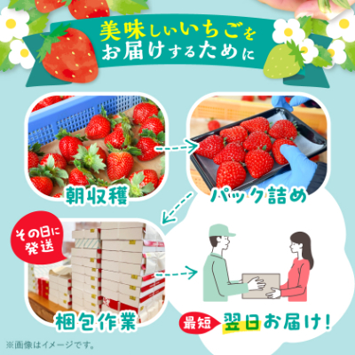 岡山県美作市産　いちご詰合せ(約280g×4パック)【配送不可地域：離島・北海道・沖縄県】