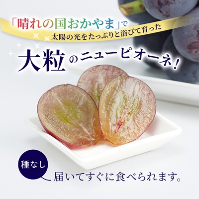 【2026年先行受付】ニューピオーネ　2kg(3房～5房)【配送不可地域：離島】