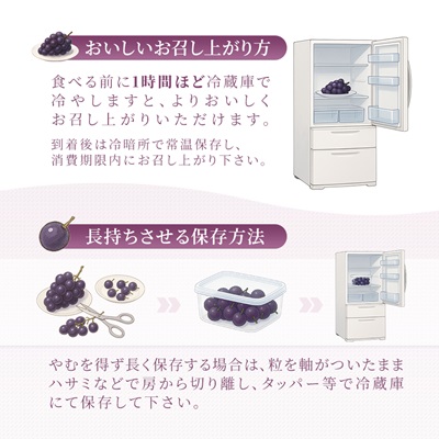 2026年先行予約　岡山県産　ピオーネ2kg箱(3～4房)【配送不可地域：離島】
