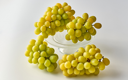 2026年先行受付【家庭用】美作市産シャインマスカット　2kg以上(3～5房)【配送不可地域：離島・北海道・沖縄県】