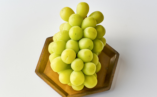 2026年先行受付　美作市産シャインマスカット2房　1.3kg以上【配送不可地域：離島・北海道・沖縄県】