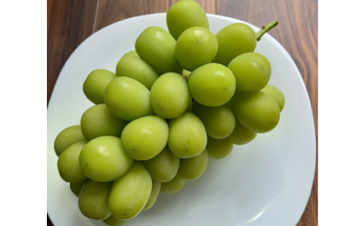 2026年先行受付　美作市産　シャインマスカット＆ピオーネ　合計約1.3kg(各1房)【配送不可地域：離島・北海道・沖縄県】