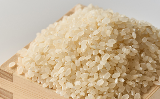 コシヒカリ　いっちょ米(5kg×2袋)