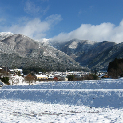 美作アルプス　後山の棚田米(精米)5kg　　1袋
