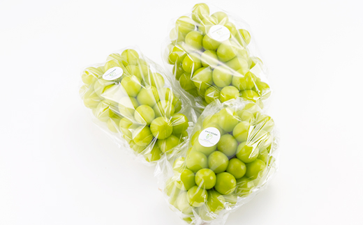 【2026年先行受付】岡山県美作市産 シャインマスカット 2kg【配送不可地域：離島】