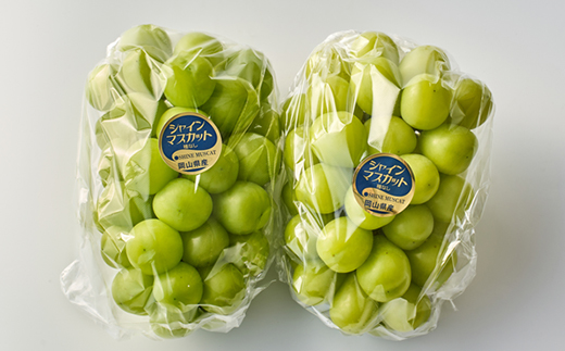 2026年先行予約　岡山県産シャインマスカット1.3kg(2房)【配送不可地域：離島】