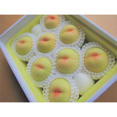 2026年先行予約　岡山県産　清水白桃　3kg(8～9玉)【配送不可地域：離島】