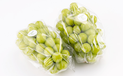 美作市産シャインマスカット1Kg【配送不可地域：離島】