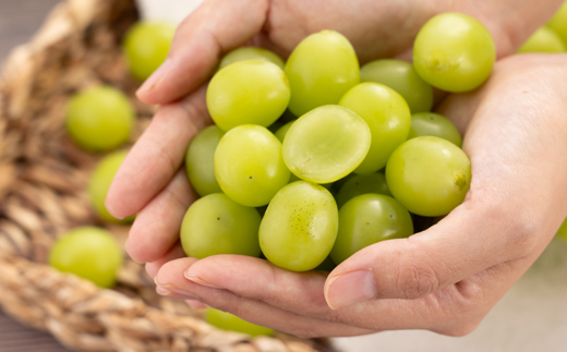 【訳あり】シャインマスカット 2Kg【配送不可地域：離島】