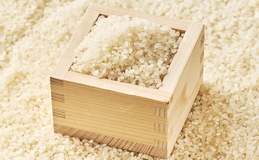 【令和7年産】【無洗米】岡山県産こしひかり8kg(2kg×4袋)