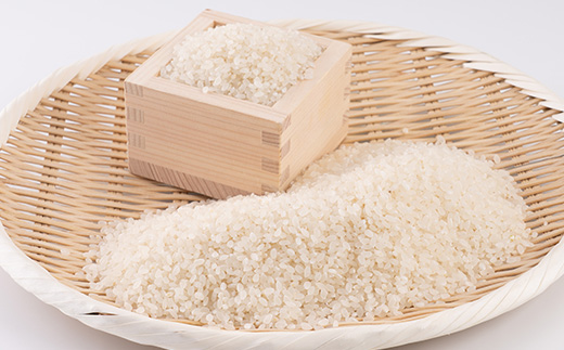 【令和7年産】岡山県産こしひかり10kg(5kg×2袋)