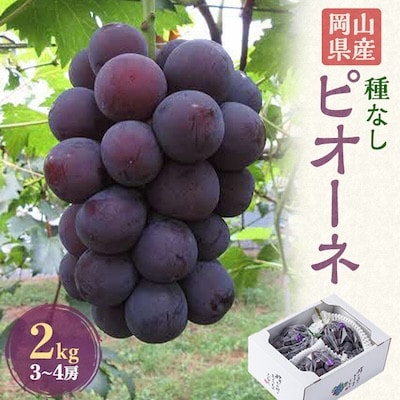 【発送月固定定期便】2026年先行予約 岡山の美味しい果物 桃・ピオーネ・シャインマスカット全3回【配送不可地域：離島】