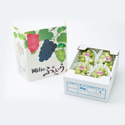 【2026年先行受付】岡山県産　朝採りシャインマスカット　2kg【配送不可地域：離島】