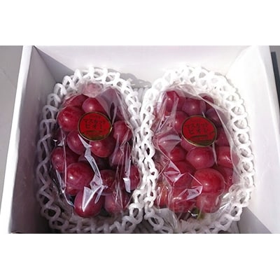 【2026年先行受付】パリッと皮ごと食べられるマスカットビオレ1.3kg【配送不可地域：離島】