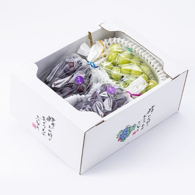 2026年先行予約　岡山県産のぶどう詰め合わせ2kg(シャインマスカット1房とピオーネ2房)【配送不可地域：離島】