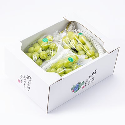 2026年先行予約　岡山県産シャインマスカット2kg(2～4房)【配送不可地域：離島】