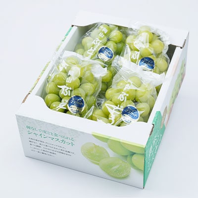 2026年先行受付　美作市産シャインマスカット3～4房　2kg以上【配送不可地域：離島・北海道・沖縄県】