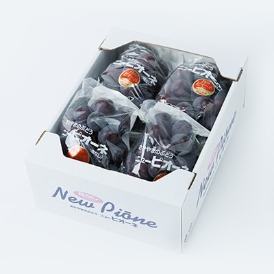 2026年先行受付　美作市産ピオーネ　2kg以上(3～4房)【配送不可地域：離島・北海道・沖縄県】