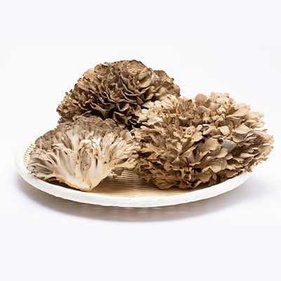 舞茸　約600g【配送不可地域：離島】