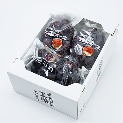 2026年先行受付　美作市産ピオーネ＆オーロラブラックまたはクイーンニーナ2kg以上【配送不可地域：離島・北海道・沖縄県】