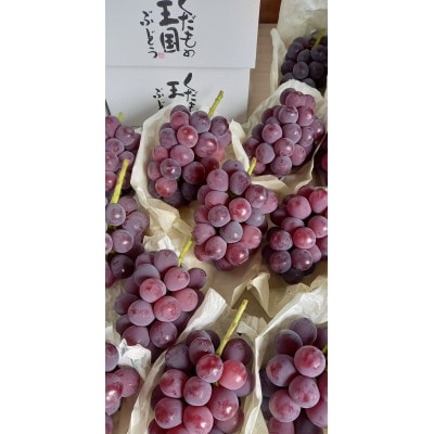 家庭用　シャインマスカット＆ピオーネ、BKシードレス、クイーンニーナ　合計3種類2kgセット【配送不可地域：離島・北海道・沖縄県】