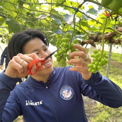 岡山県美作市産　Belleシャインマスカット 2kg(3房～5房)【配送不可地域：離島】