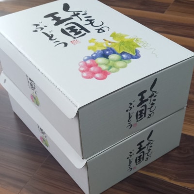 2026年先行受付　美作市産　ニューベリーA　約4kg(7～10房)【配送不可地域：離島・北海道・沖縄県】