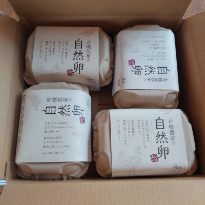 【朝採り】季節の平飼い卵有精卵6個入り×4パック【配送不可地域：離島】