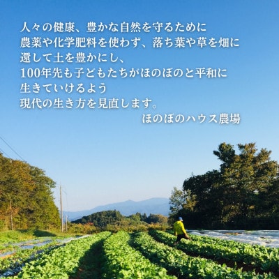 【畑から直送】岡山美作産　旬を楽しみ味覚を育む野菜約8種(約5kg)【配送不可地域：離島】