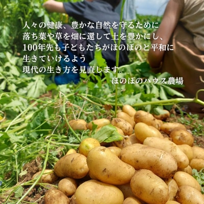 岡山県美作産じゃがいも食べ比べセット(アンデスレッド＆メークイン)　各1kg