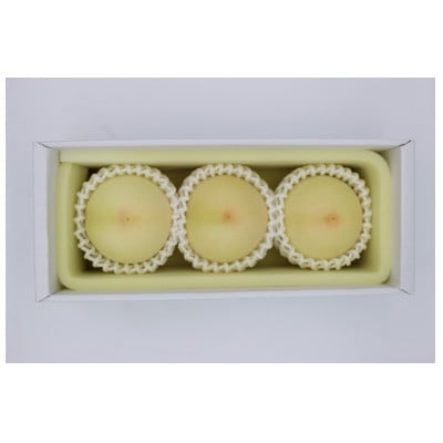 2026年先行予約　岡山県産おかやま夢白桃3玉【ロイヤル】【配送不可地域：離島】