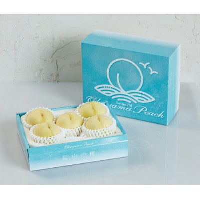 2026年先行予約　岡山県産おかやま夢白桃5玉【ロイヤル】【配送不可地域：離島】