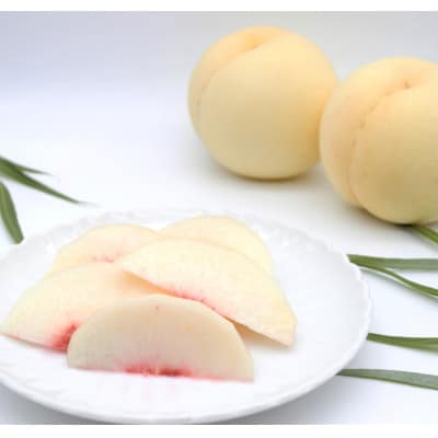 2026年先行予約　清水白桃3玉　エース【配送不可地域：離島】