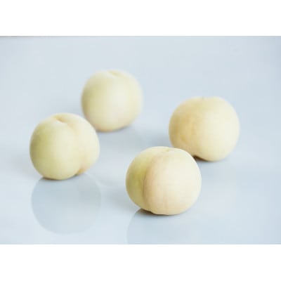 2026年先行予約　岡山白桃4玉・黄桃セット2玉　食べ比べセット