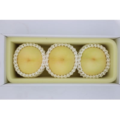 2026年 岡山白桃ロイヤル晩生(1箱3玉)800g【配送不可地域：離島】