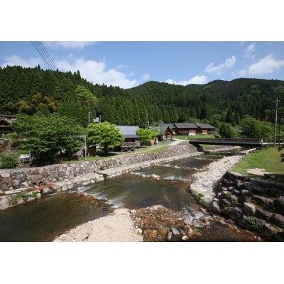 渓流釣り体験【大人1名入場券】